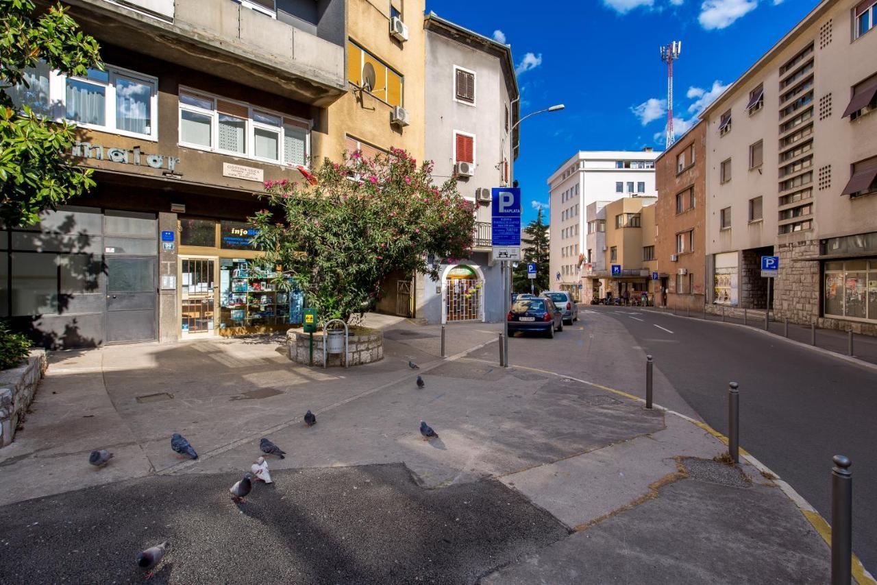 Srnec - Ciottina Rijeka